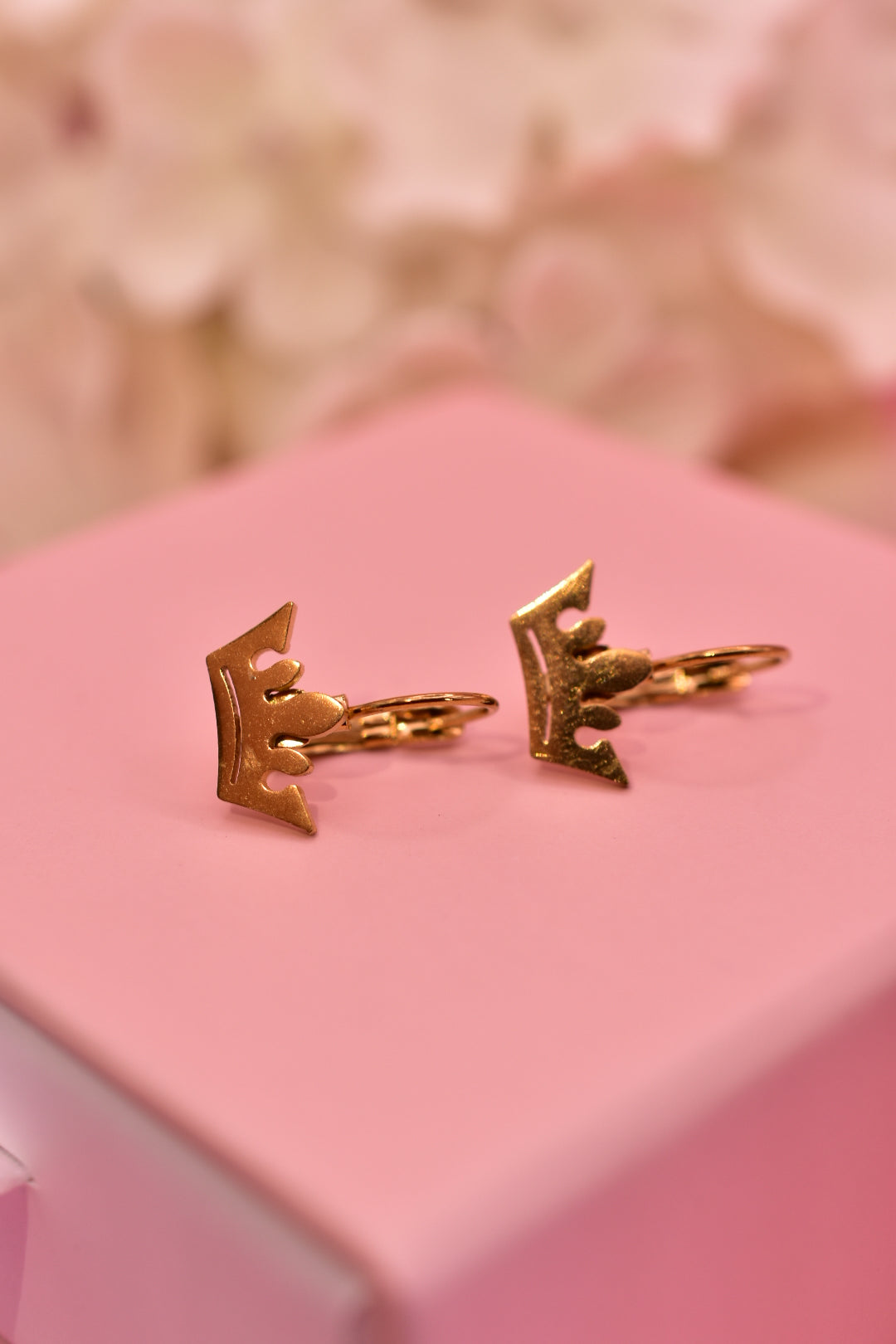 Aretes Coronitas