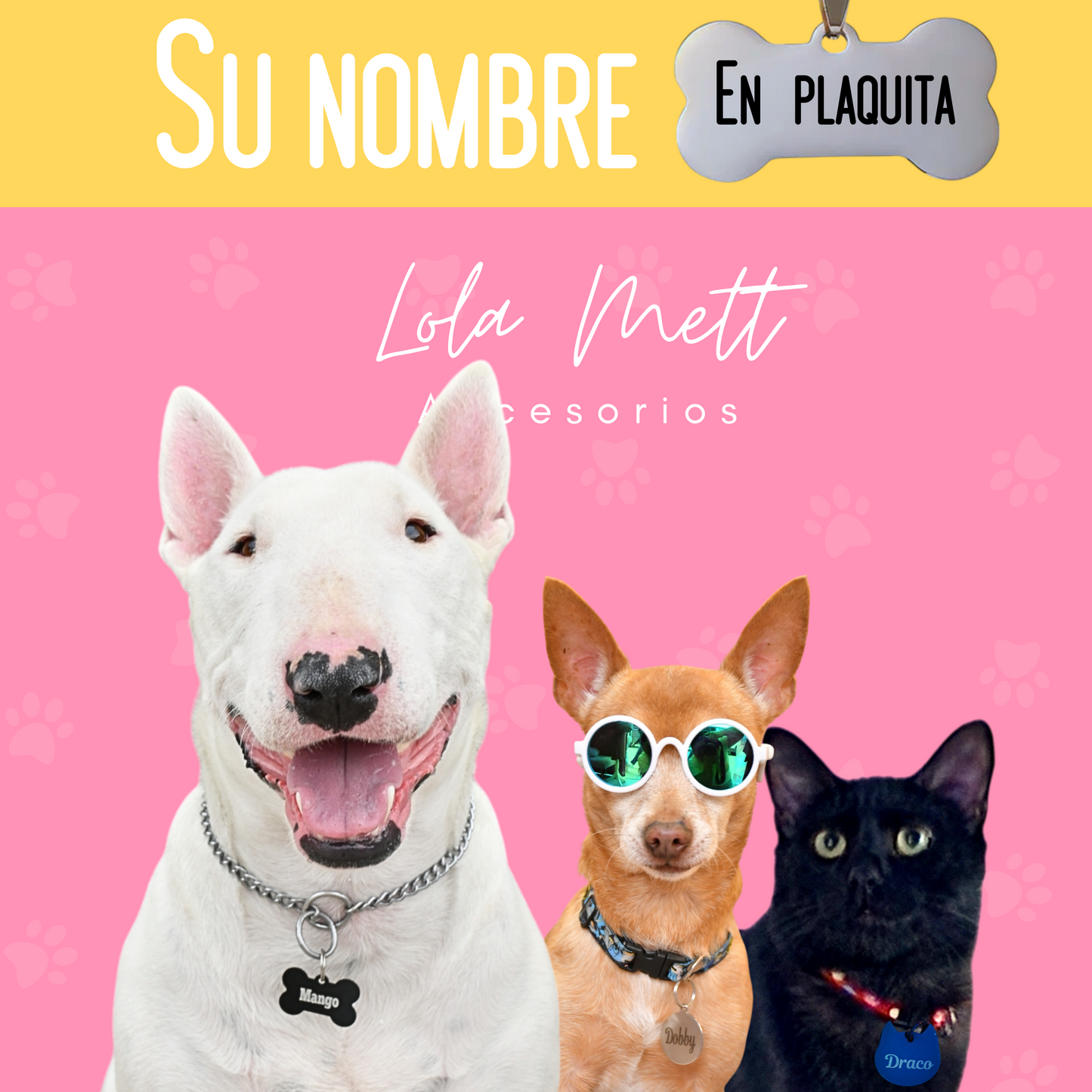 Plaquita de Identificación