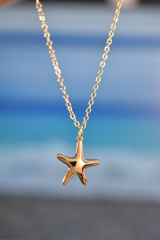 Dije estrella de mar lisa