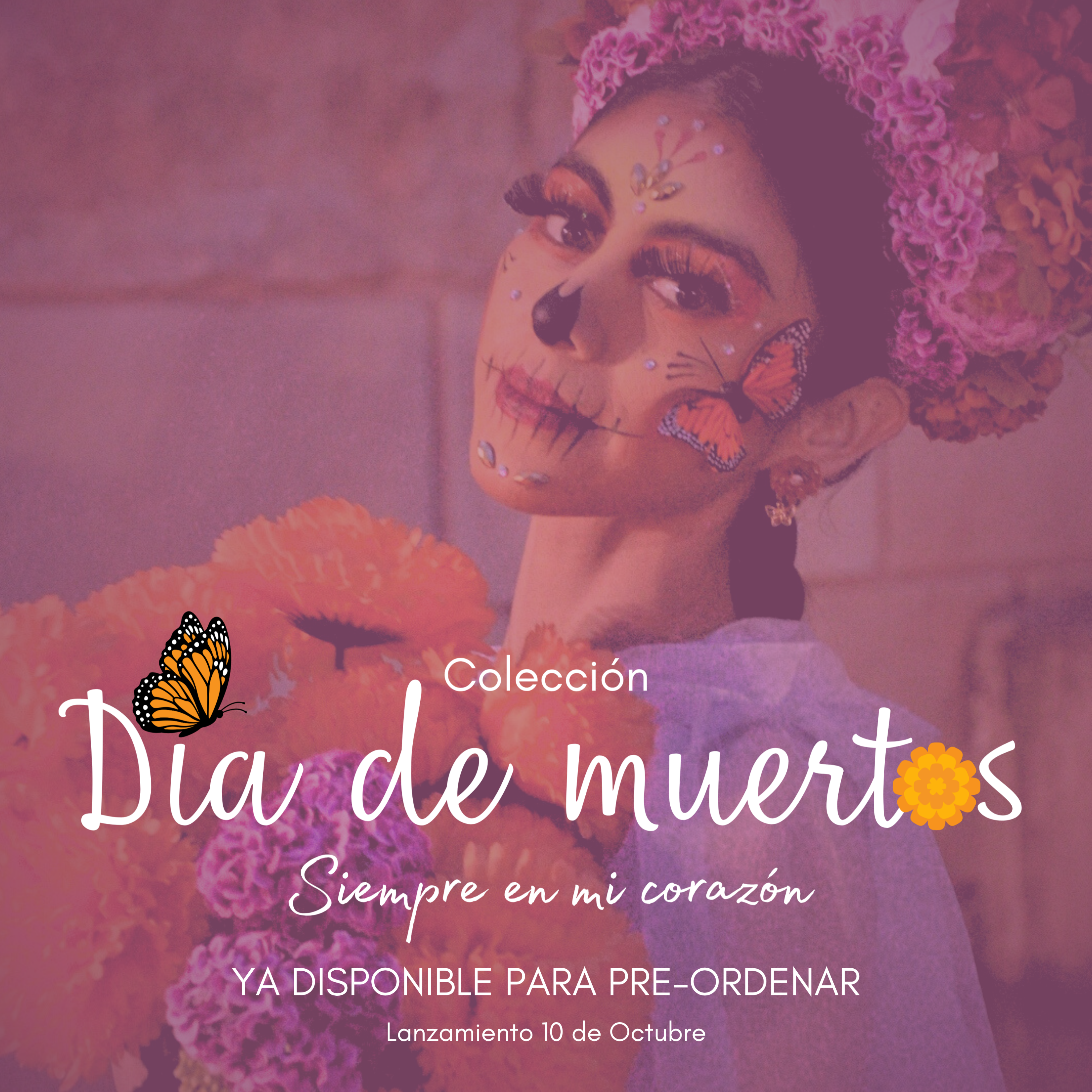 Cargar video: 